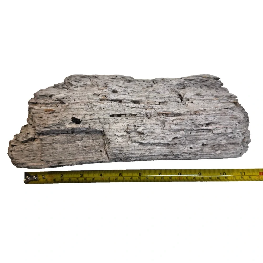 California Coast Natural Driftwood for Crafts, Decor White Rustic 11x4” 1.35